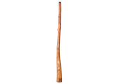 Tristan O'Meara Didgeridoo (TM462)